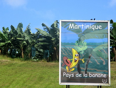 Rcolte des Bananes aux Antilles, Guadeloupe et Martinique -- 24/03/14