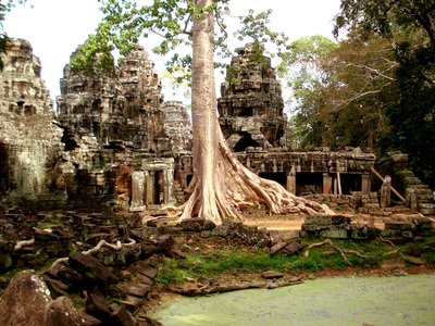 Les Temples d'Angkor et la Nature! Cambodge -- 16/12/12