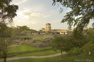 Site archologique de Palenque au Mexique