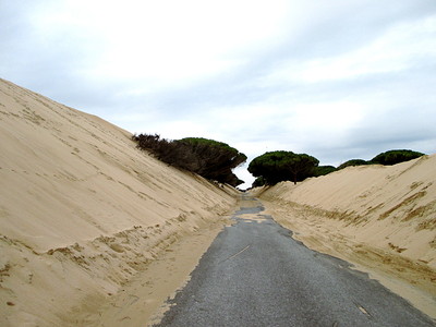 Dunes de Valdevaqueros, prs de Tarifa en Espagne
