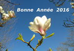 Bonne Anne 2016