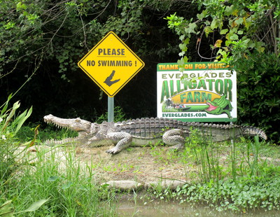 Visite d'une Ferme d'Alligators dans les Everglades -- 04/09/15