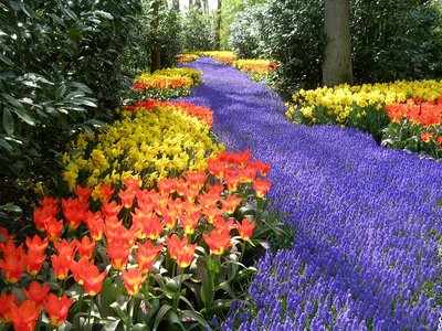 Parc Floral  de Keukenhof aux Pays-Bas