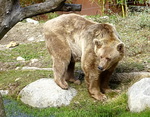 Parc Animalier de Casteil dans les Pyrénées -- 06/03/18