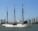 Régate de vieux Gréements dans le Port de Rotterdam, Hollande